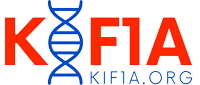 KIF1A Polska - Logo organizacji wsparcia dla rodzin dotkniętych KAND